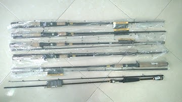 Cần câu cá Daiwa chuyên lure I Đồ Câu Cá Giá Rẻ