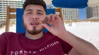 Cannolis on the beach