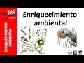 Enriquecimiento ambiental en aves