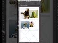 How to Create Grids with Images in Adobe InDesign in 60 Seconds! #adobeindesign #freetutorial #adobe