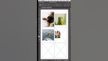 How to Create Grids with Images in Adobe InDesign in 60 Seconds! #adobeindesign #freetutorial #adobe