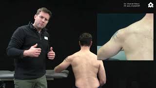 Shoulder: Motor Control and Cognitive exercises
