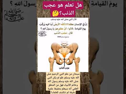 هل تعلم ماهو عجب الذنب معلومة قيمة