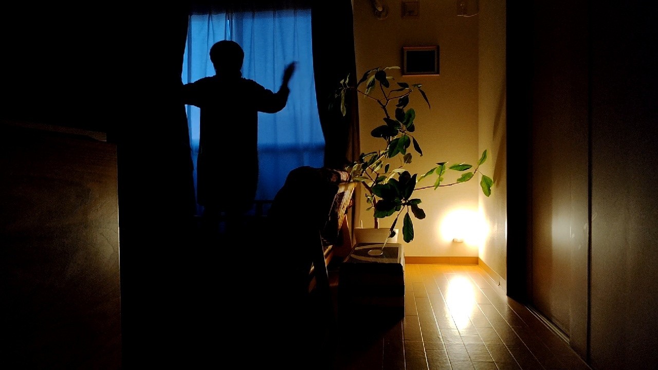 【70才からのセカンドライフ】カフェモーニングいろいろ行ってみた【vlog/シニアライフ】