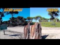 Сравнение камеры sj4000 и  Eken H9: пленер - море, пляж, лес.