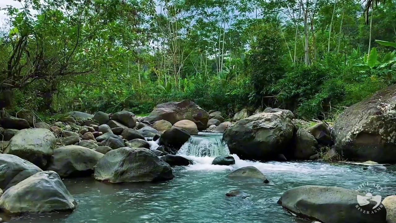 Natural River Flow Under a Silent Sky | Slow Flowing Water Ambience for Deep Sleep