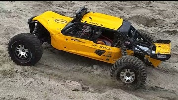Axial EXO Terra buggy  beach run