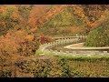 【酷道★ / 新旧の対比】国道416号(大日峠・牛ヶ首峠区間) part 2【新規開通区間】