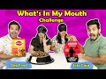 Guess What's In The Mouth Challenge | Hungry Birds