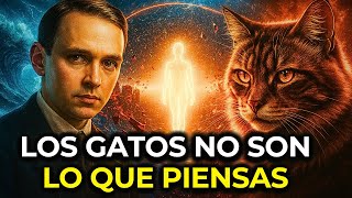 La profecía de Edgar Cayce sobre los gatos está sucediendo ahora