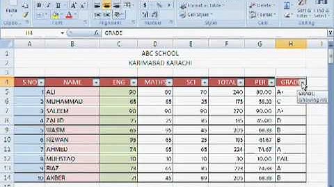 MS Excel Tutorial Urdu Part 12 By Irfan Wazir Ali