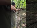 3d shooting
