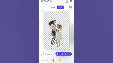 PicWish ai online photo editor #picwish #reel