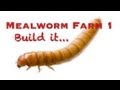 Mealworm Farm 1 - (Build It)