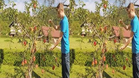 GoPro 3+ variable stereo base setup (3D: side-by-side)