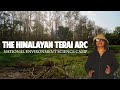 The himalayan terai arc  dudhwa tiger reserve  nevs camp