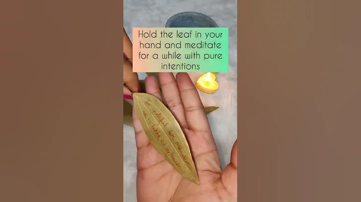 Harness the Power of Bay Leaf: Manifestation & Release | Manifest with Bay Leaves - DayDayNews