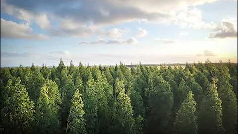 Borrtex  -   It All Begins Here