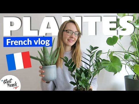 Video: Vad är fransk syra – Lär dig om växtvård och användning av fransk syra