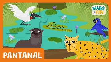 Mabô e Fifi | PANTANAL - série Quebra- cabeça | desenho infantil @maboefifi