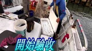 1041015瑞光168號白帶魚