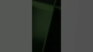 شاهد كلبه ذليله تتوسل وتتذلل زي الهوهو للاستاذه 