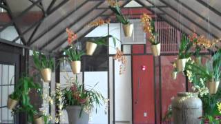 Custom Glass Greenhouse with Victorian-style Trim and Reverse Gable Entry