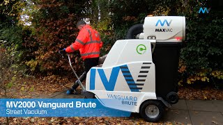 MV2000 Vanguard Brute - Leaves - Explainer