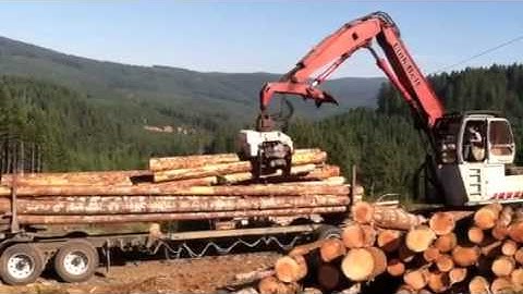 Grapple processor loads logs