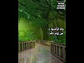 إنما أشكو بثي وحزني إلى الله الشيخ شعبان الصياد  mp3