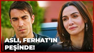 Aslı, Ferhatını Buldu Siyah Beyaz Aşk 31. Bölüm