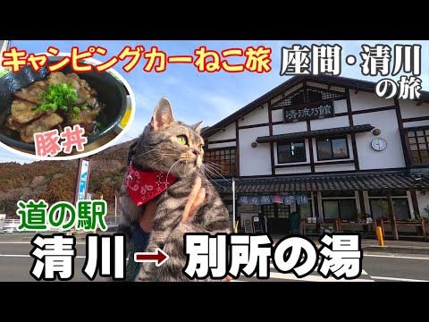 【ねこ旅】座間・清川の旅（３）　道の駅清川 ＆ 別所の湯