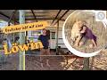 Er lebt mitten in der Kalahari &ndash; mit einer L&ouml;win als bester Freundin