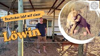 He lives in the middle of the Kalahari – with a lioness as his best friend