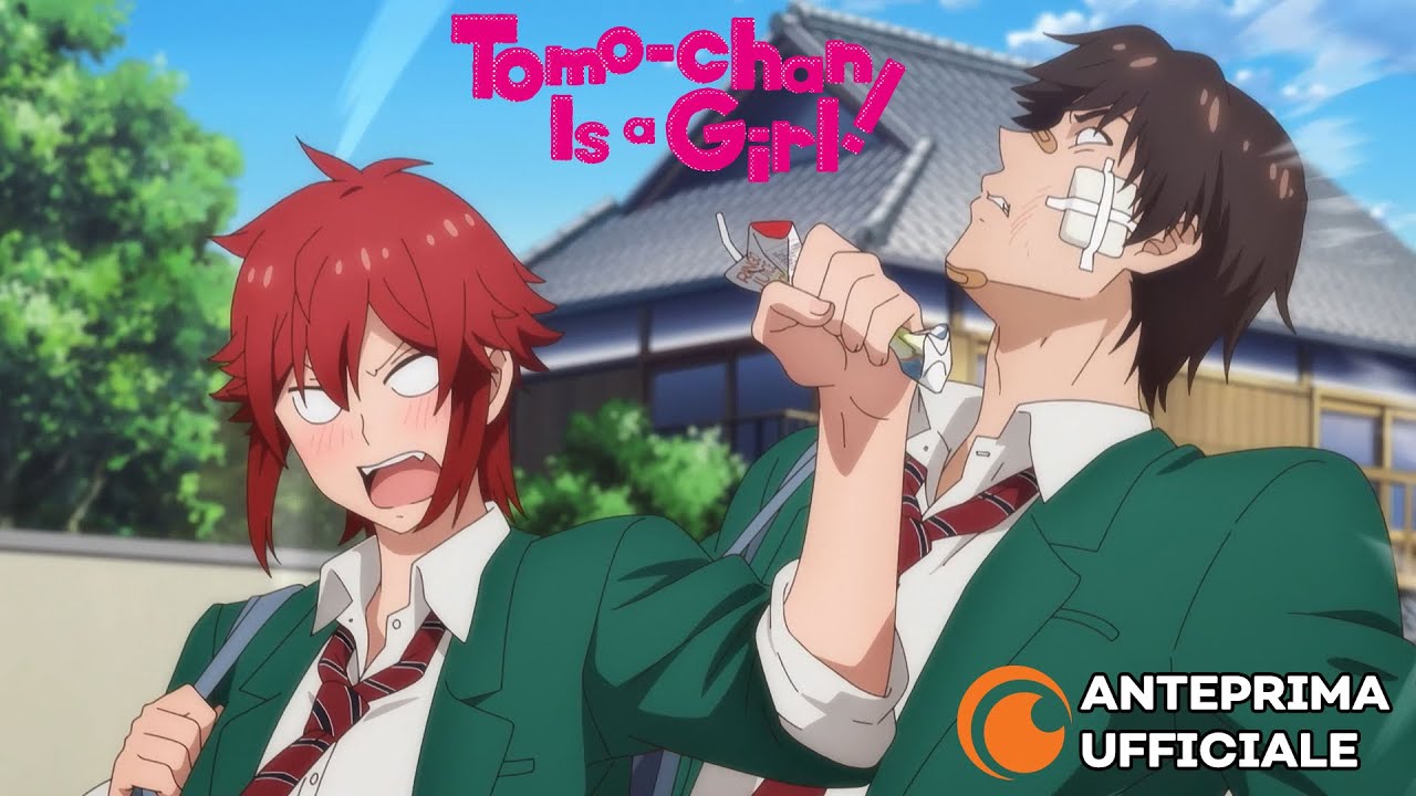 Tomo-chan wa Onnanoko 2 em 2023  Anime, Anime expo, Anime de romance