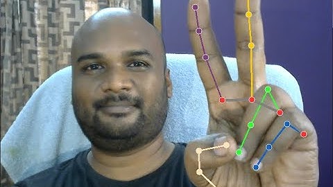 Real-Time Hand Gesture Detection for Sign Language Recognition using Python | Machine Learning