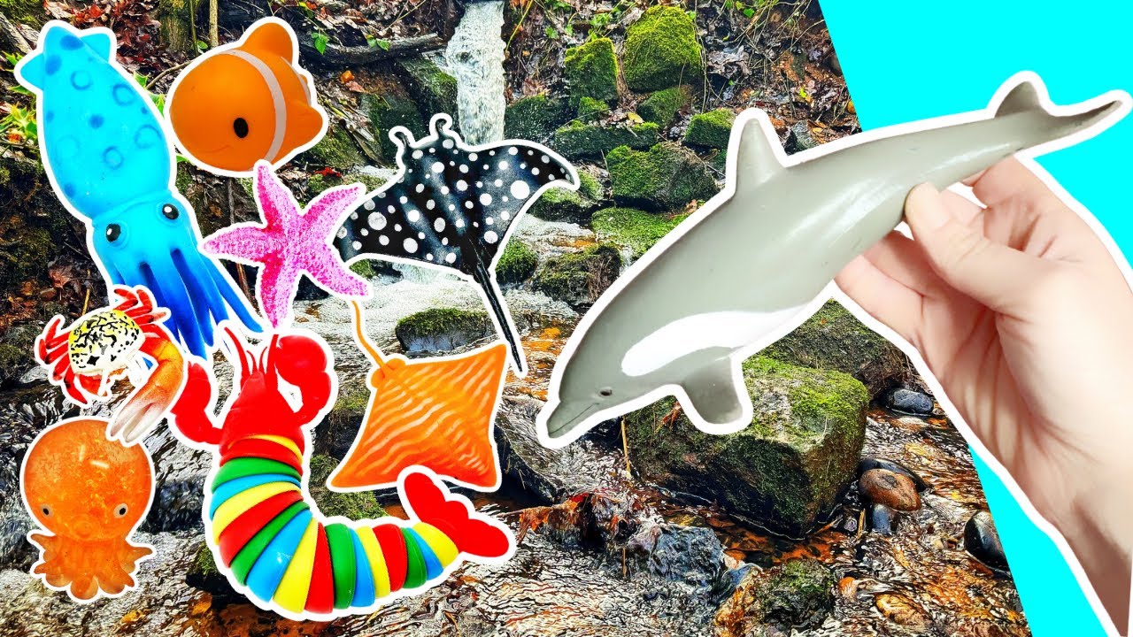 Learn Sea Animal Names for Babies Toddlers Kids at the Waterfall ...
