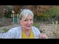 What Every Homestead Must Have to be Successful!