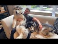 The DogFather! A Year In The Life Of Dad  (Cutest Clips)