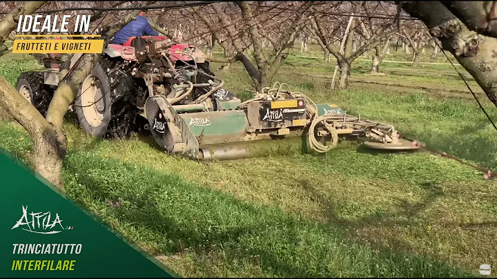 Trincia Tutto Attila con Disco Interfilare - Diserbo Meccanico