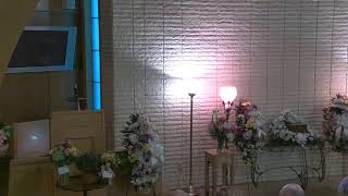 Seaver Funeral Home Live Stream Elizabeth Sue Tibbs-Hughes