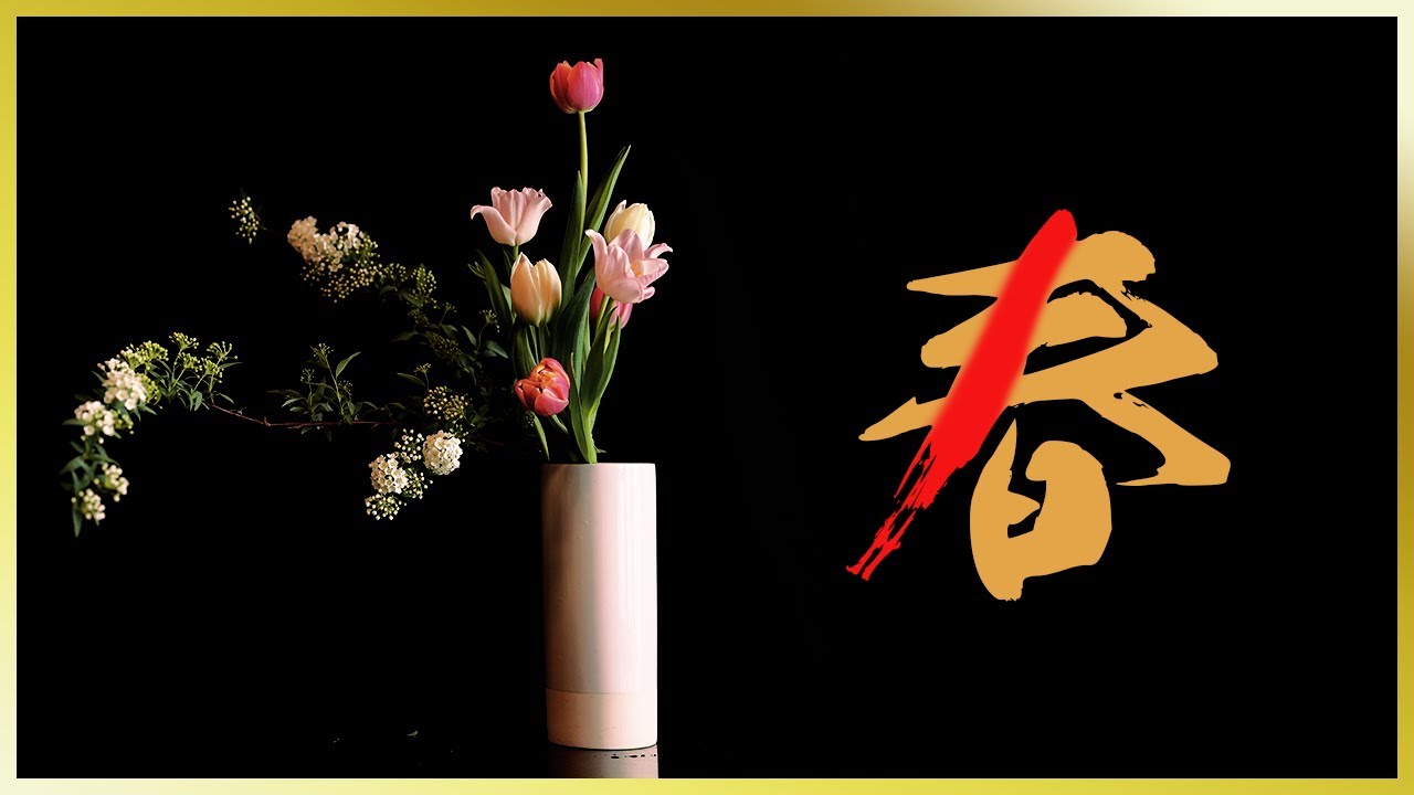 Tulips] I put some in and tried arranging tulips! - YouTube