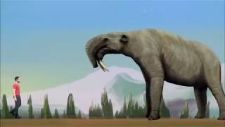 Cenozoic Animals: Size Comparison (By Paleoart)