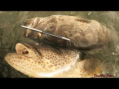 Video: Paano Pumunta Sa Spearfishing