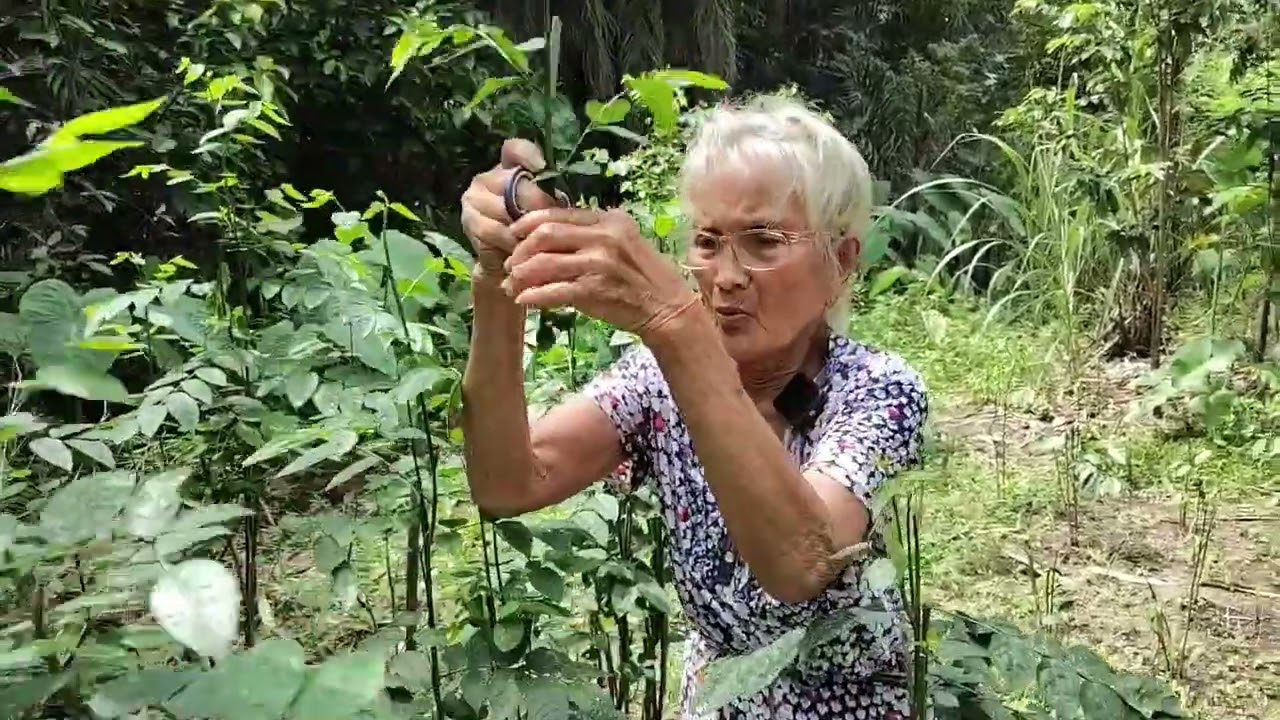 Inik Uban ngabas Kebun alu ngambi sayur