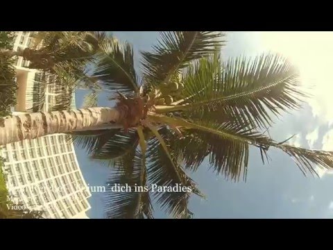 Tom Reichel--Träum Dich Ins Paradies--Offizielles Musikvideo