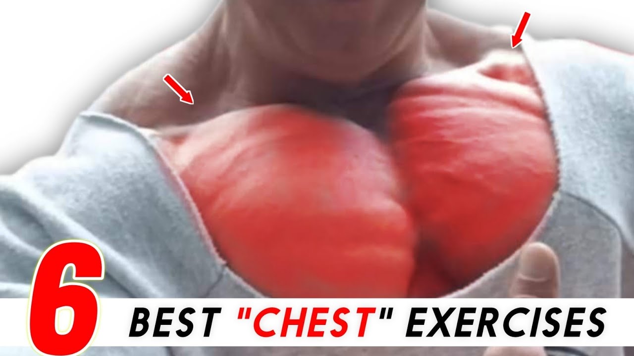 The 6 Best Chest Exercises You Need to Try - Recommended Workout - YouTube