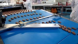 Chocolate Wrapping Machine, Automated Packaging of Bars, Chocolate Packaging Line
