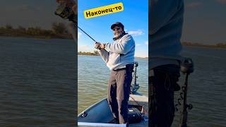 Астрахань .Поклёвка года !!! 😱👌👏 #fishing #рыбалка #астрахань #удочка #carpfishing #балык #рек