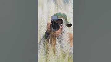 Best All In One Zoom Lens For Sony Alpha Mirrorless Camera Wildlife Photography Sony A7 IV 